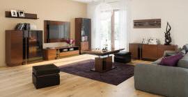 Solid wood furniture for the living room bedroom dining room cabinet manufacturer Poland